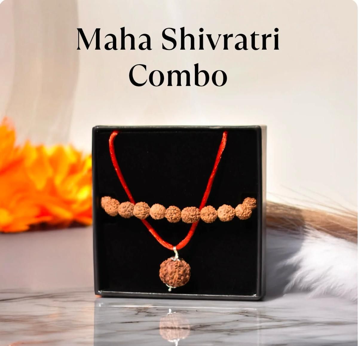 Maha Shivratri Combo – 5 Mukhi Rudraksha with Bracelet Set for Spiritual Healing, Protection & Energy