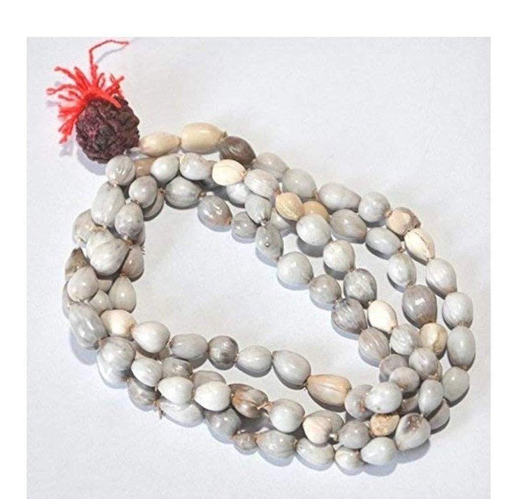 Original Vaijayanti Mala with Rudraksha & Moira Stone – Spiritual Prayer Beads for Meditation, Healing & Energy Balance