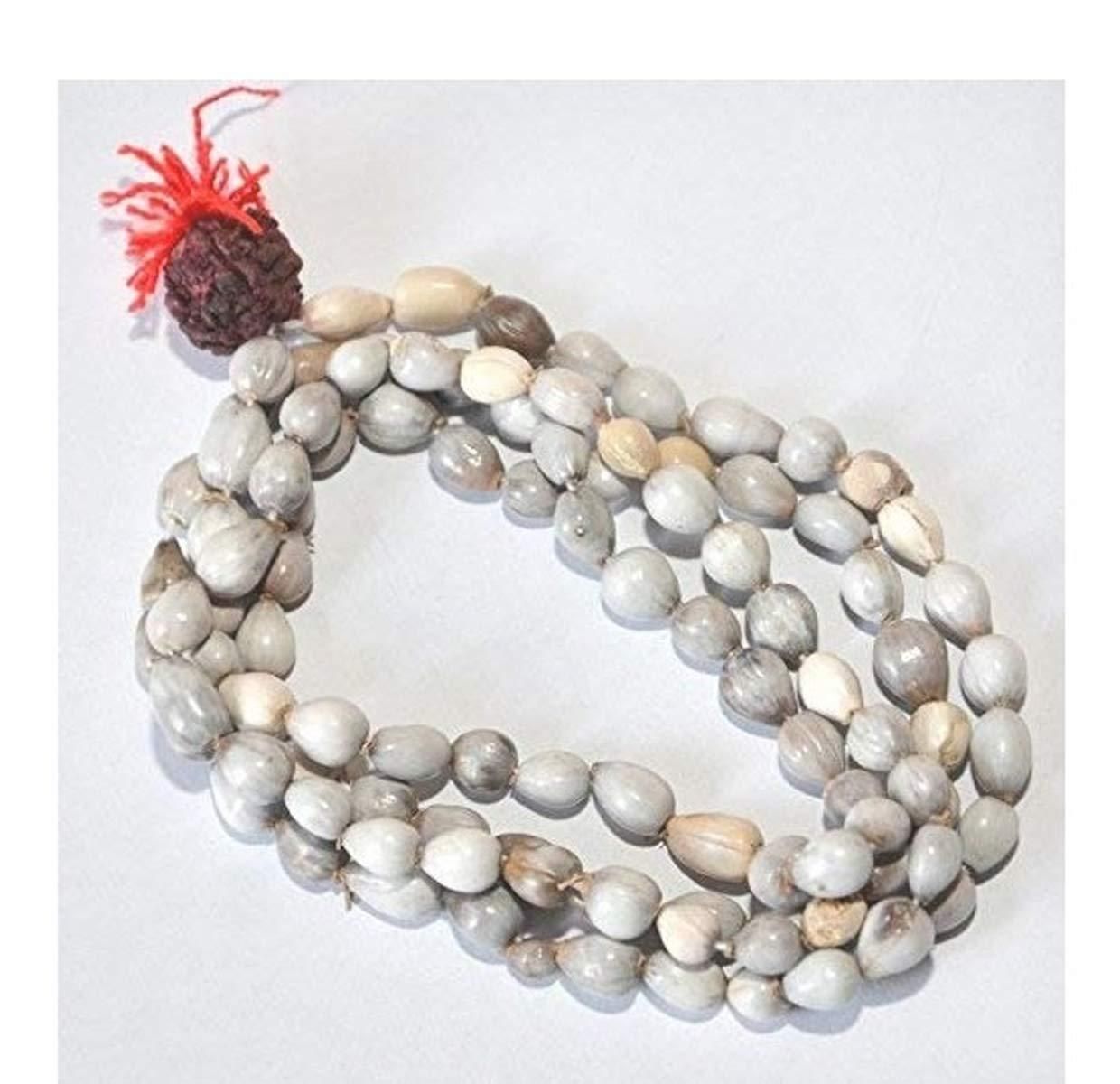 Original Vaijayanti Mala with Rudraksha & Moira Stone – Spiritual Prayer Beads for Meditation, Healing & Energy Balance