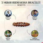 Maha Shivratri Combo – 5 Mukhi Rudraksha with Bracelet Set for Spiritual Healing, Protection & Energy
