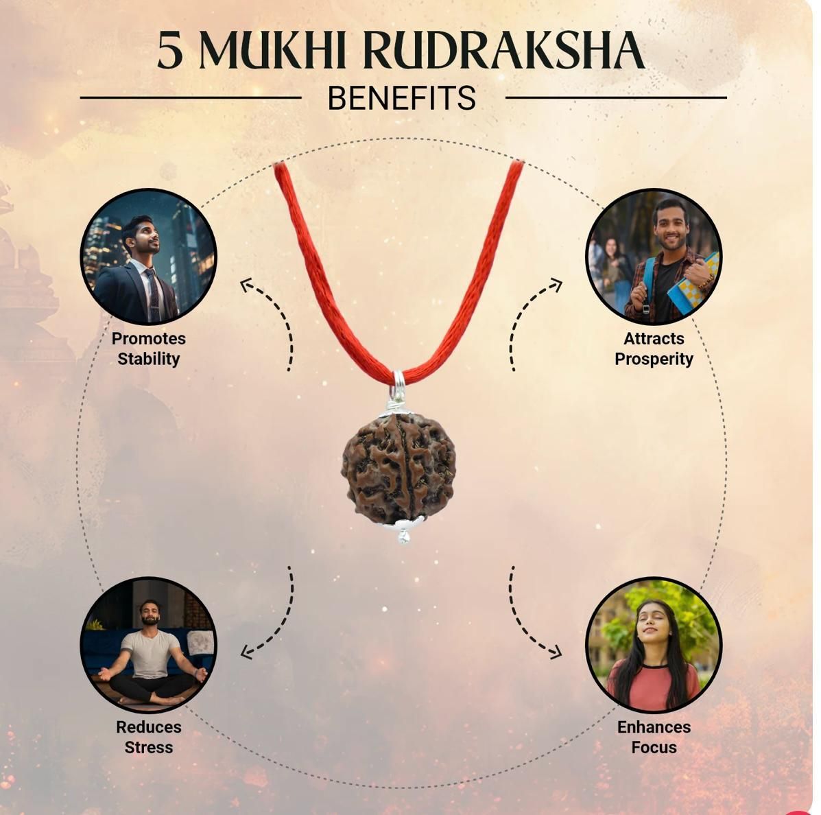 Maha Shivratri Combo – 5 Mukhi Rudraksha with Bracelet Set for Spiritual Healing, Protection & Energy