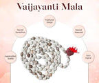 Original Vaijayanti Mala with Rudraksha & Moira Stone – Spiritual Prayer Beads for Meditation, Healing & Energy Balance