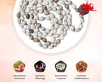Original Vaijayanti Mala with Rudraksha & Moira Stone – Spiritual Prayer Beads for Meditation, Healing & Energy Balance