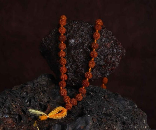 108 Beads Rudraksha Jaap Mala – Authentic Spiritual Prayer Beads for Meditation, Healing & Protection