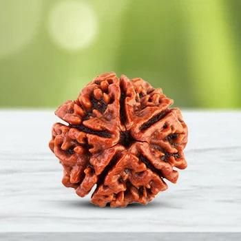 108 Beads Rudraksha Jaap Mala – Authentic Spiritual Prayer Beads for Meditation, Healing & Protection